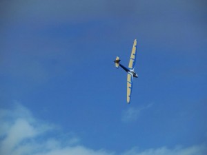 14671285_1946632092252513_651881761824785494_n